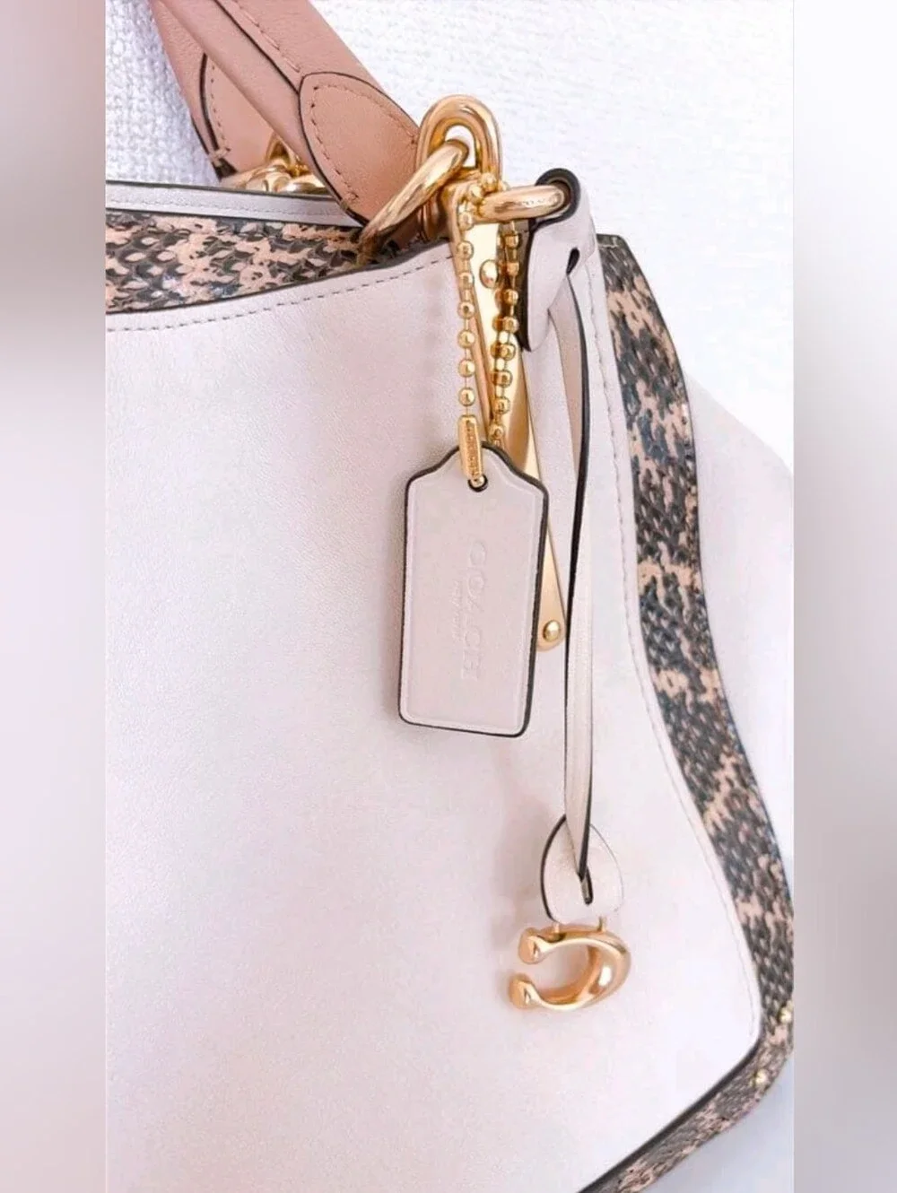 Coach Dreamer 36 in Colorblock with Genuine Snakeskin Details